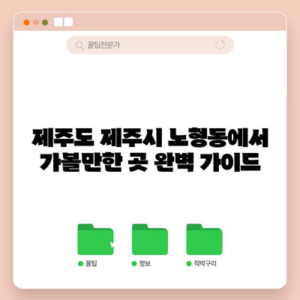 제주도 제주시 노형동에서 가볼만한 곳 완벽 가이드