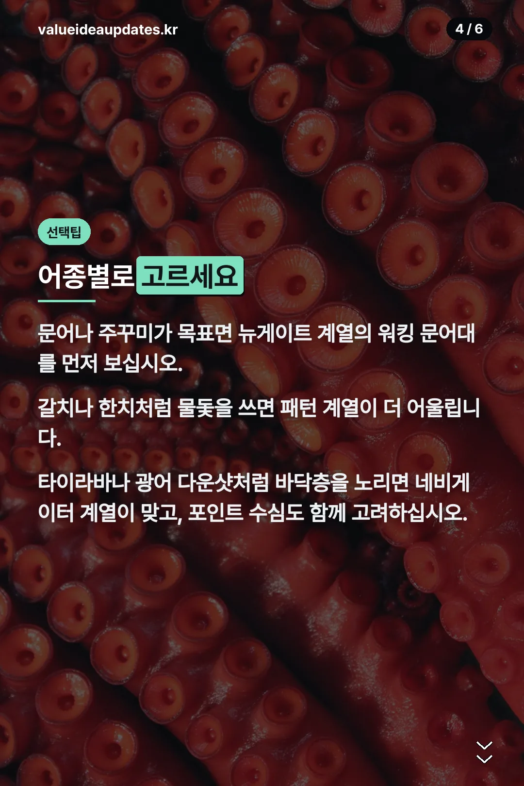 어종별 선택 팁