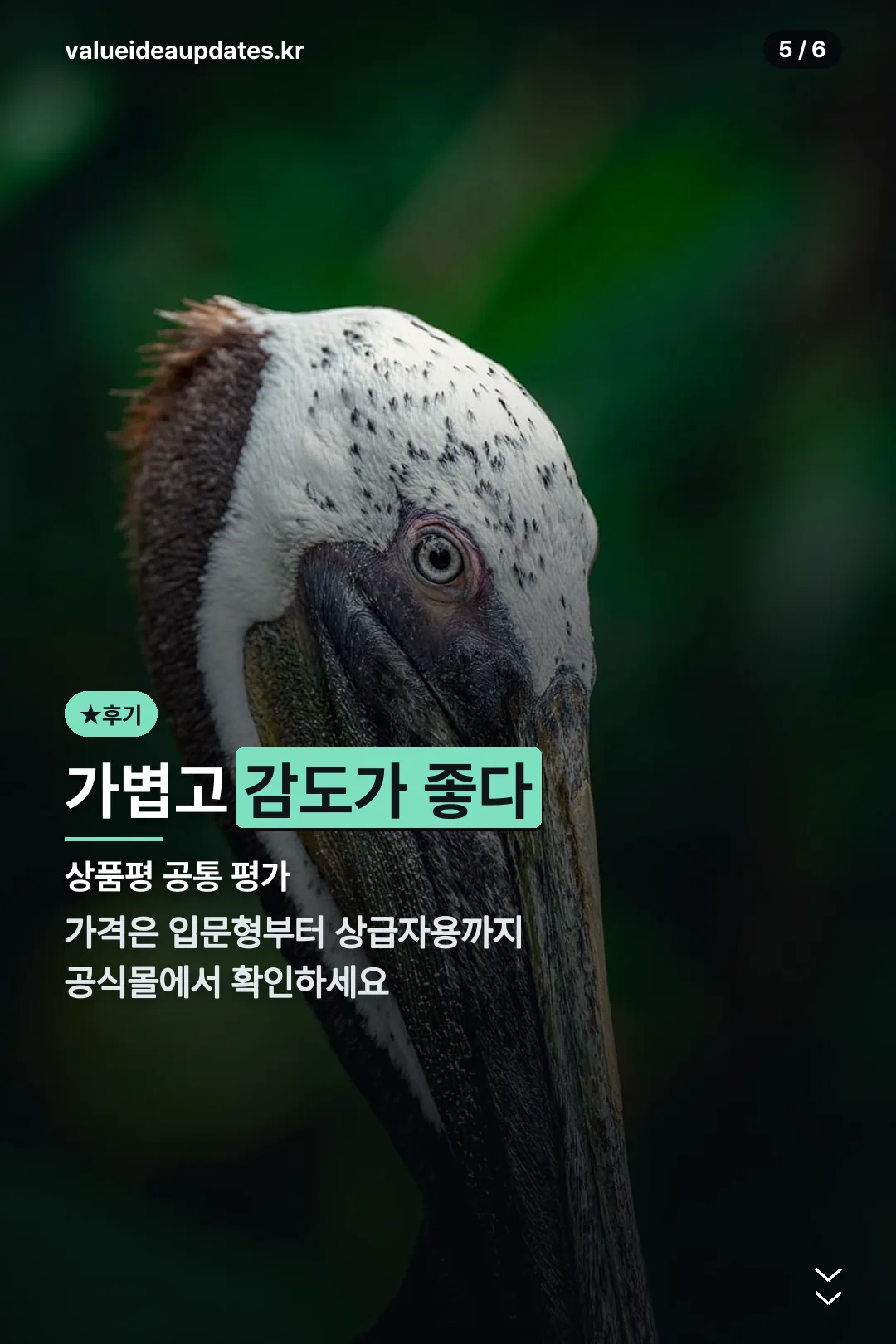 사용 후기 장점