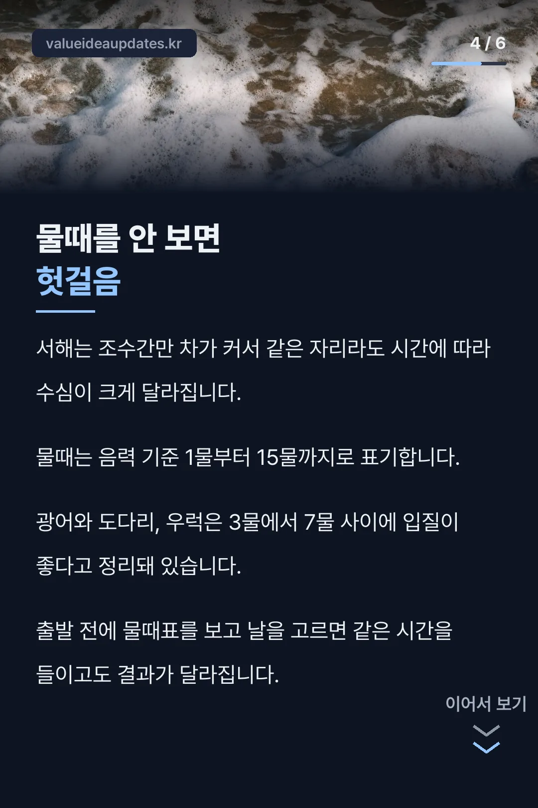 물때를 안 보면 헛걸음