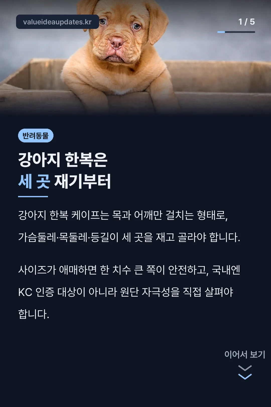 강아지 한복은 세 곳 재기부터