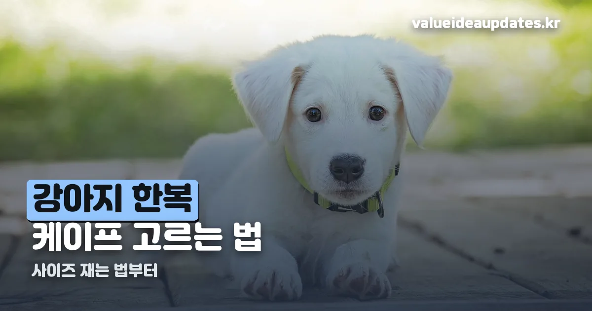 강아지 한복 케이프 정리 썸네일