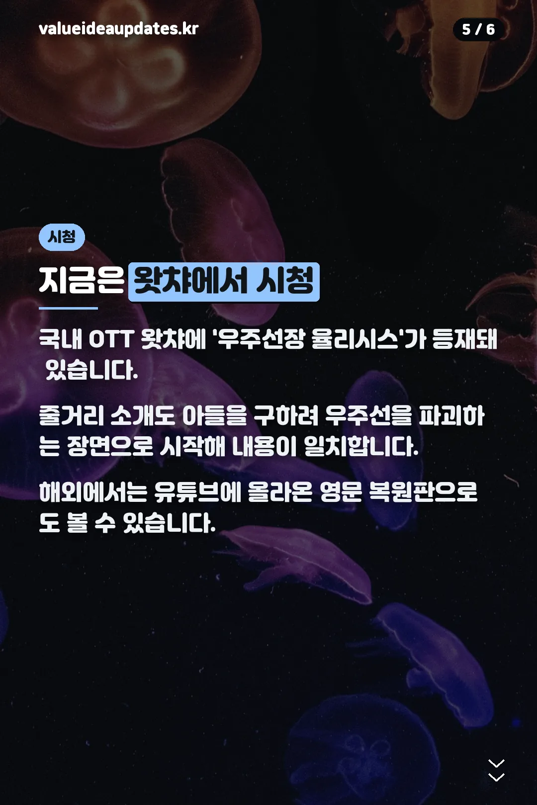 지금은 왓챠에서 시청