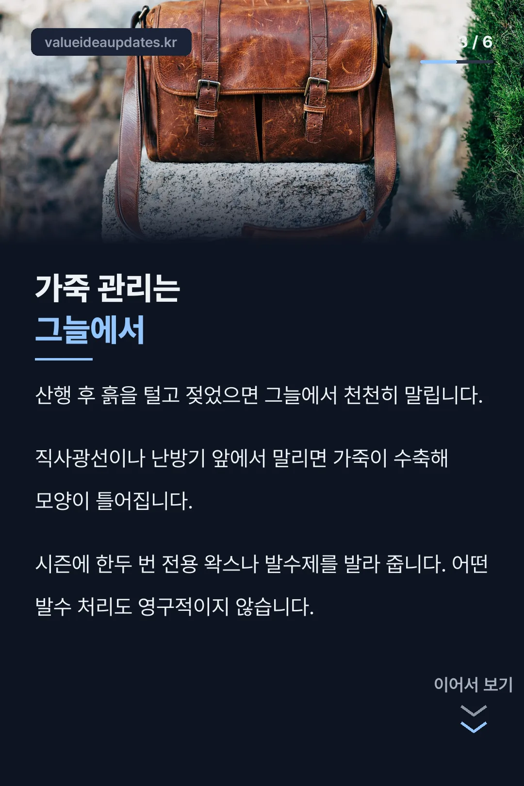 가죽 관리법