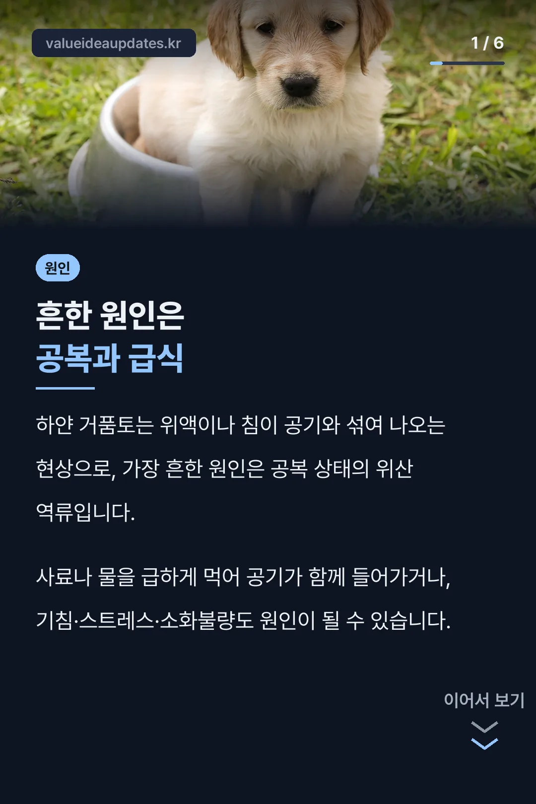 흔한 원인 정리