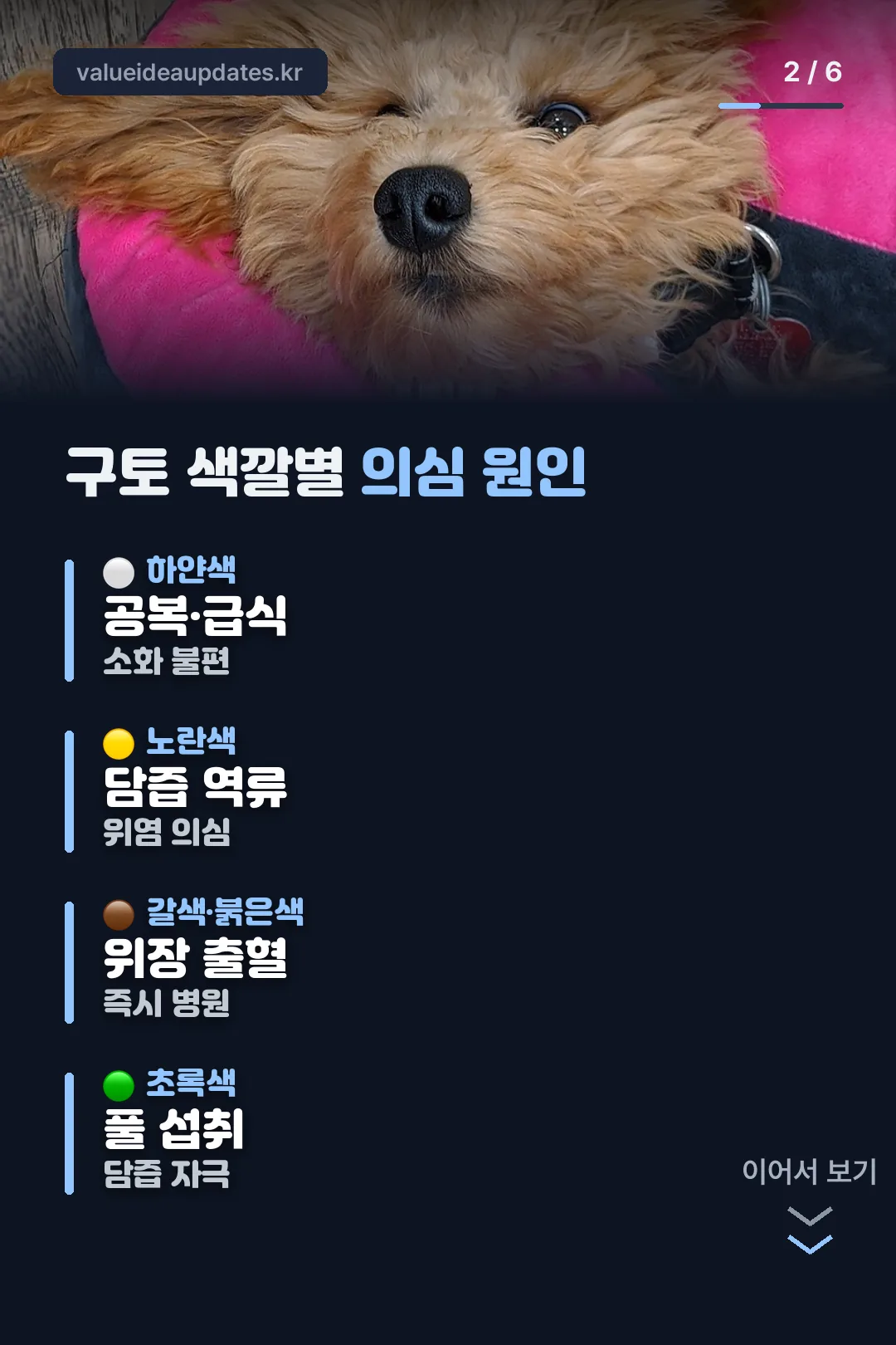 구토 색깔별 의심 원인