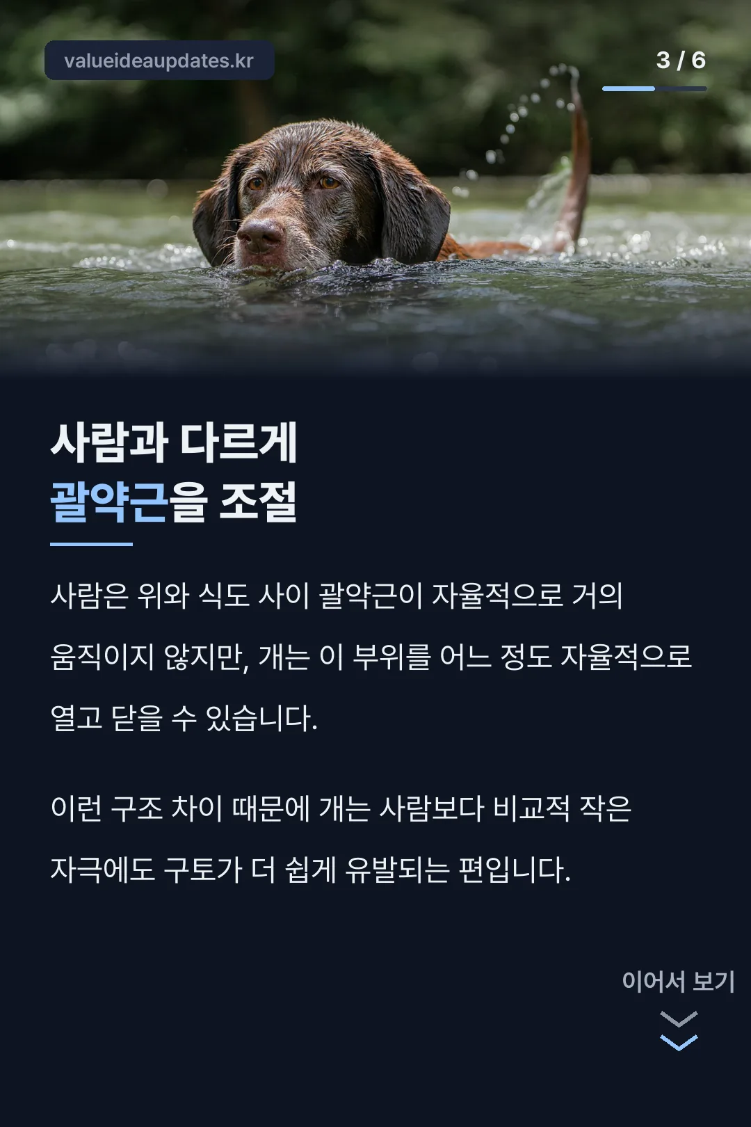 사람과 다른 괄약근 구조
