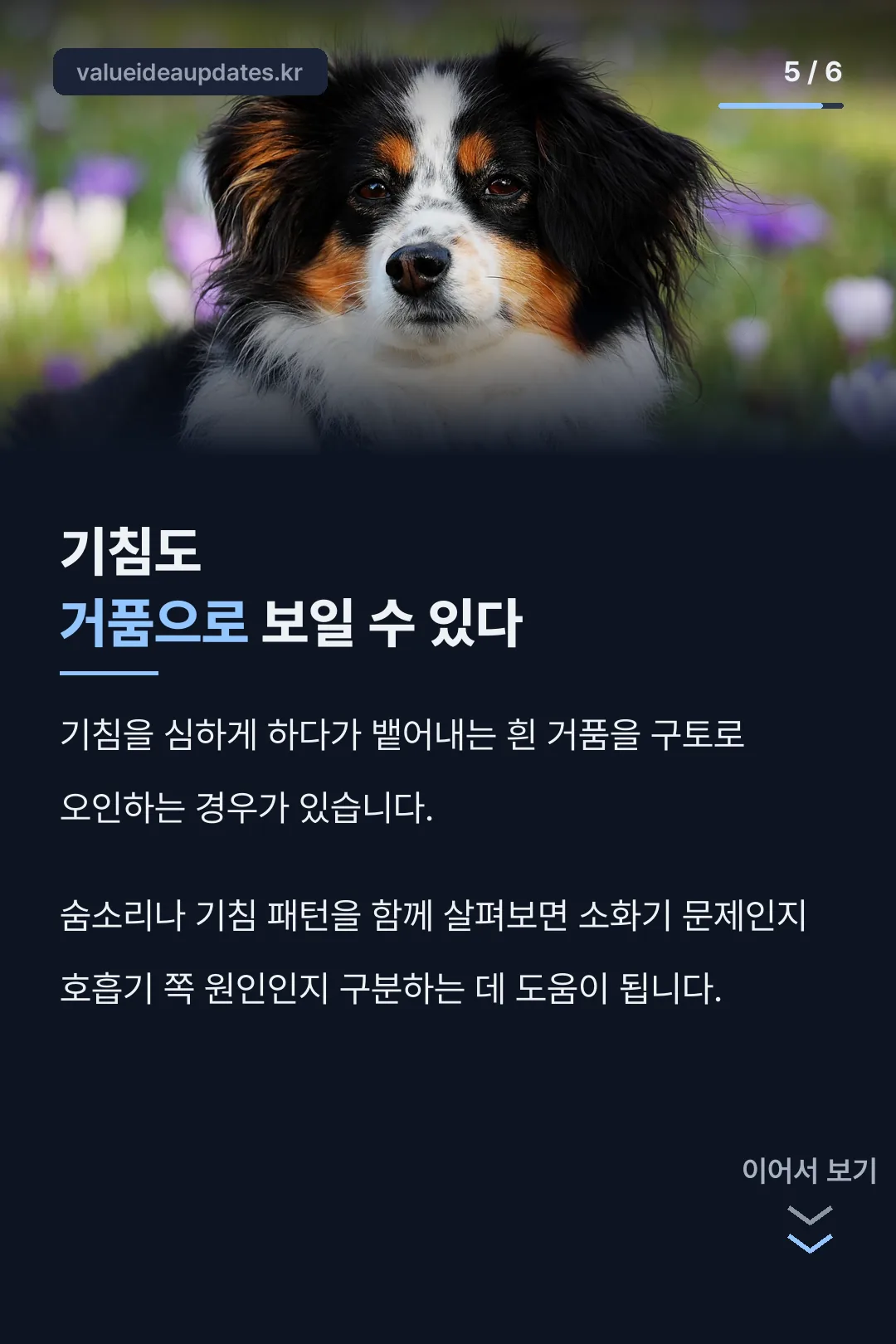 기침과 구토 구분법
