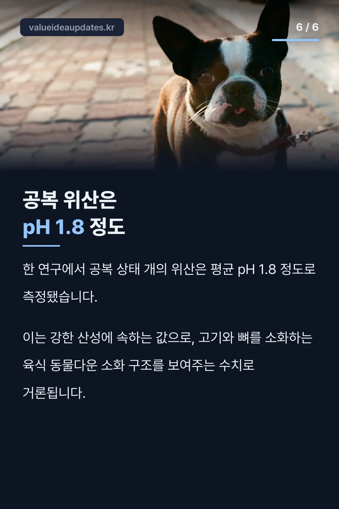 공복 위산 pH 수치