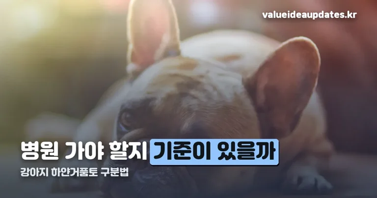 강아지 하얀거품토 정리 썸네일