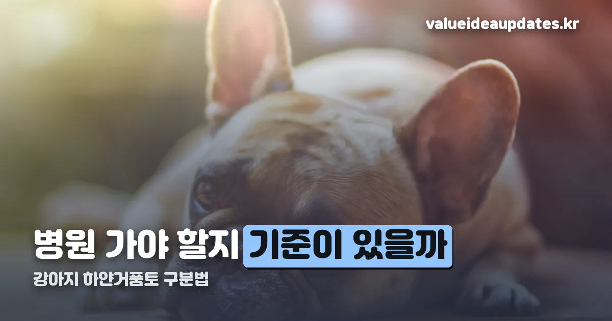 강아지 하얀거품토 정리 썸네일