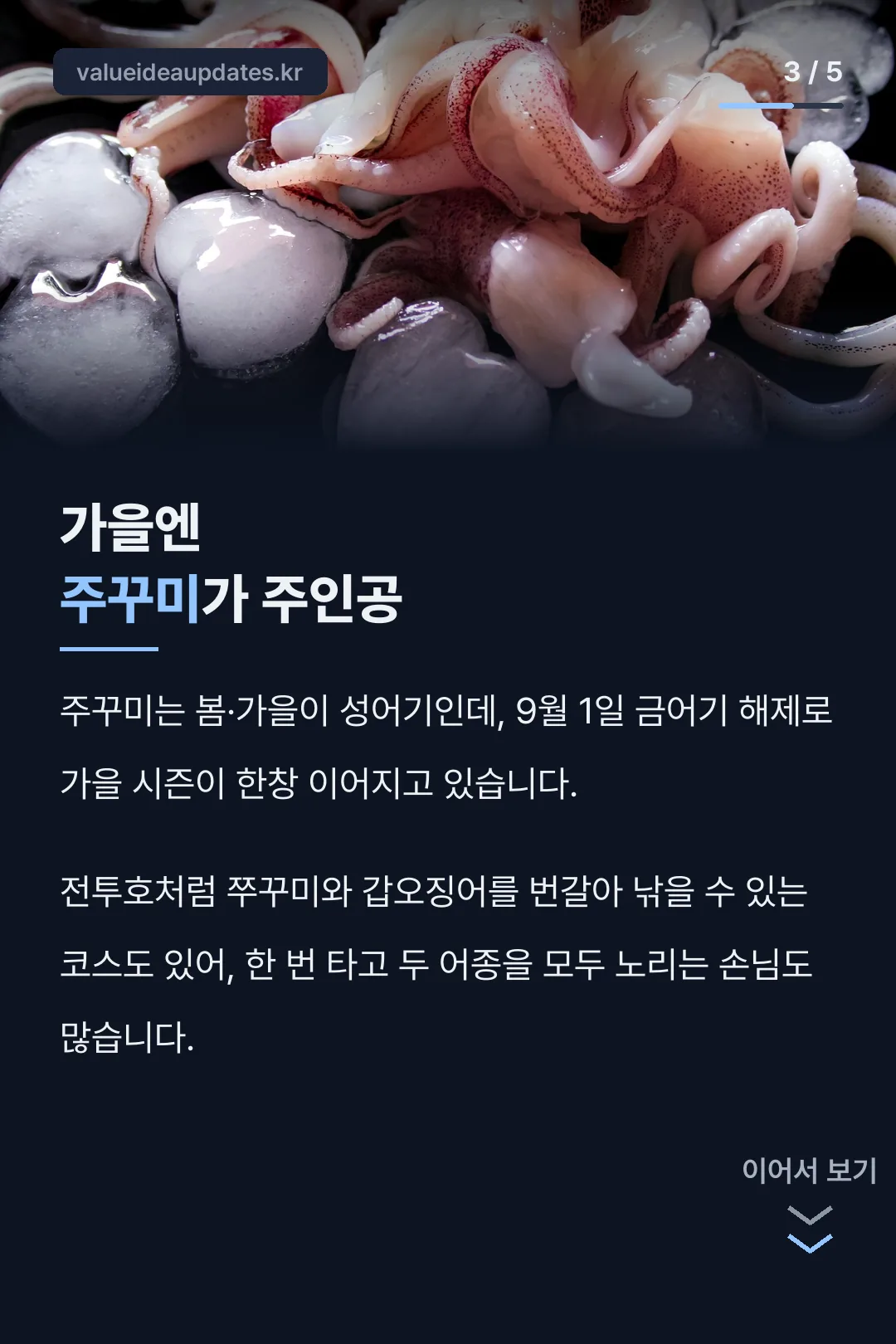 가을 주꾸미 포인트
