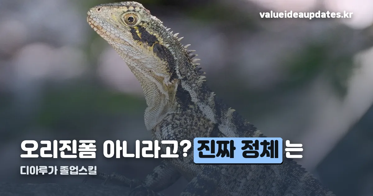 디아루가 졸업스킬 정리 썸네일