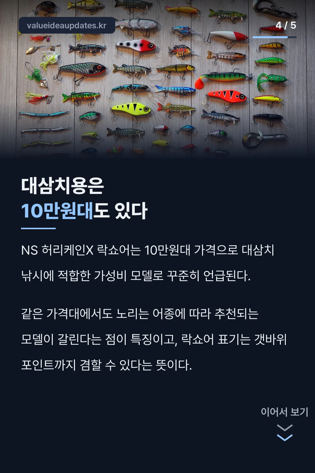 대삼치용 가격대