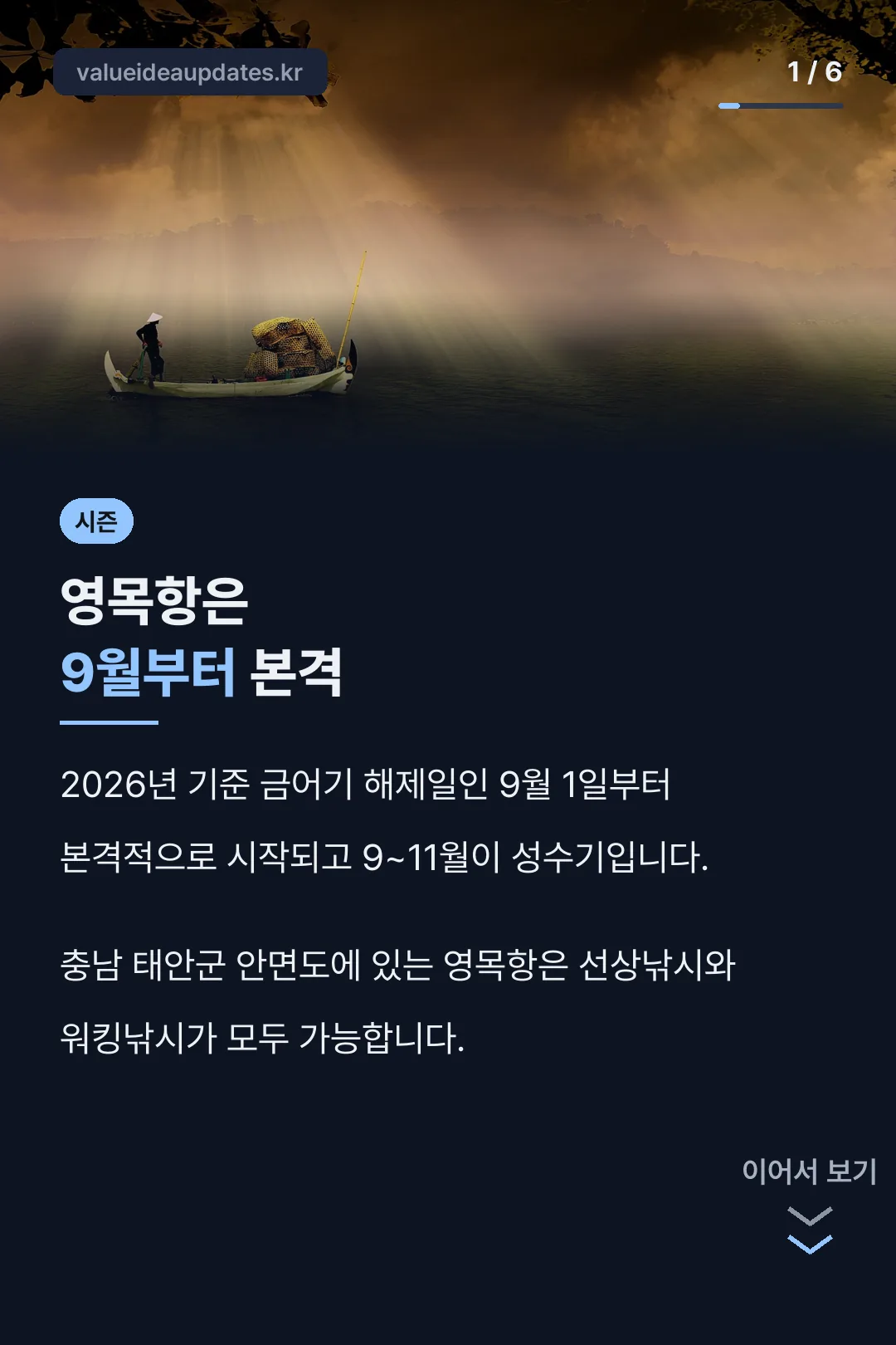 쭈꾸미 시즌 안내