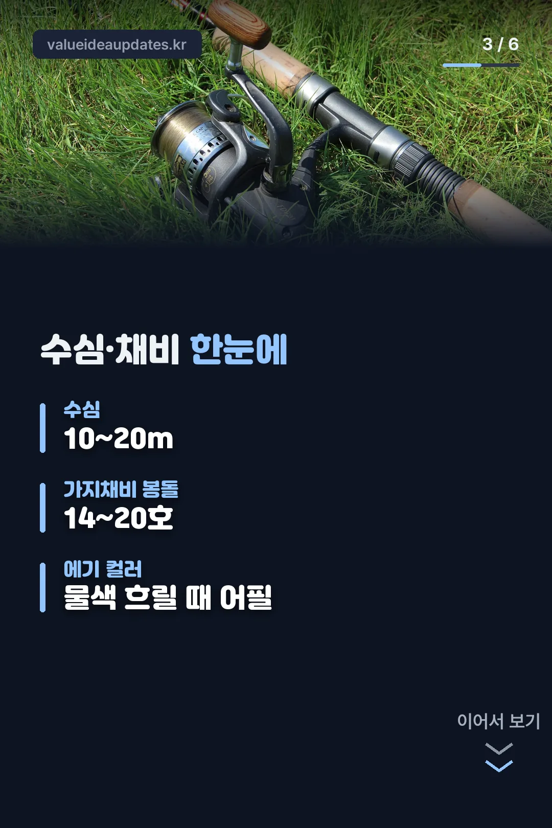 수심·채비 정리